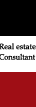 Real estate Consultant